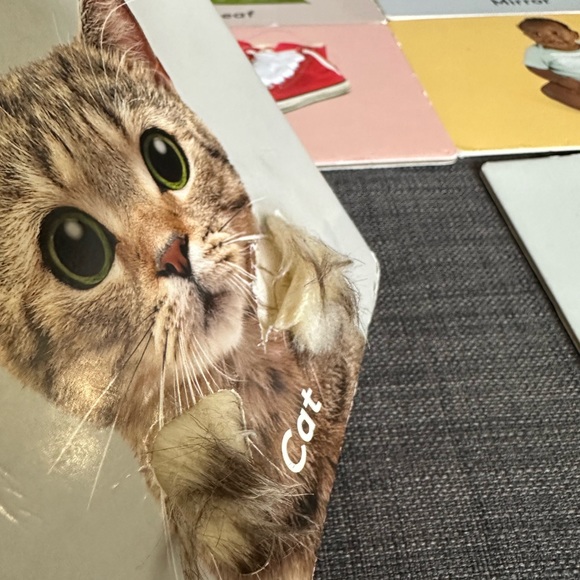 Lovevery Play Kit - Picture 11 of 13